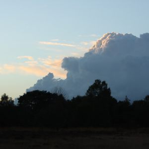 Wolkenpartij