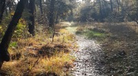 herfst herfst