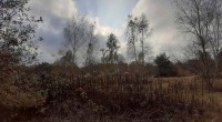 landschap groote heide landschap groote heide
