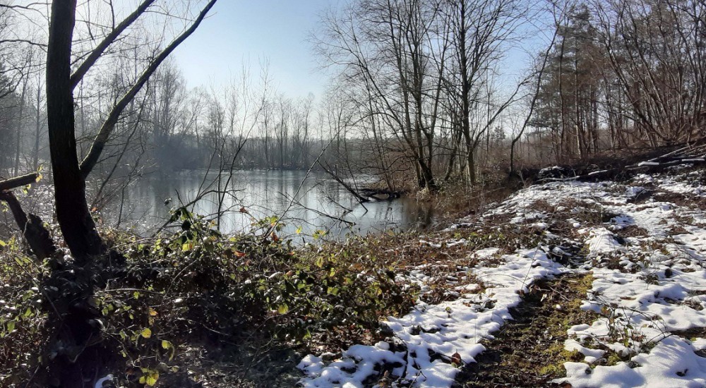 landschap jammerdal  landschap jammerdal