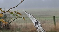 web met waterdruppels web met waterdruppels